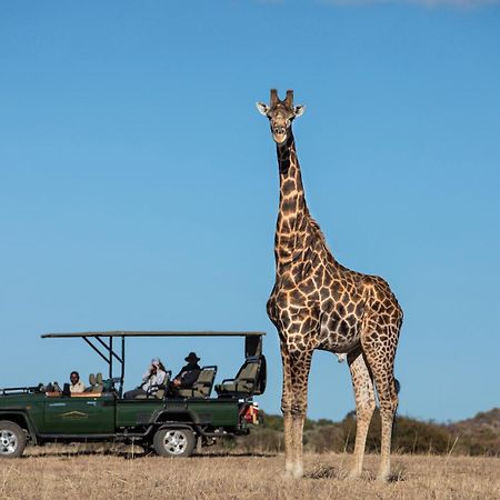 Villa Safari Plains Mabula Game Reserve Esterno foto