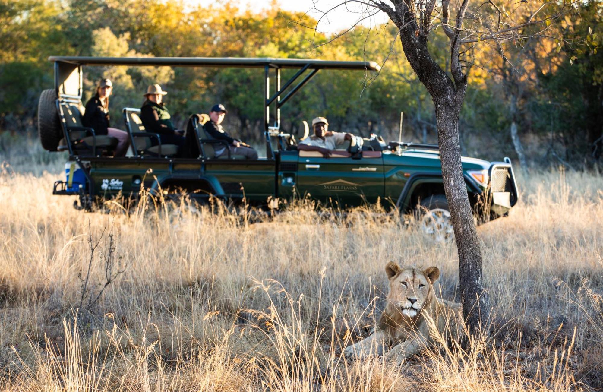Villa Safari Plains Mabula Game Reserve Esterno foto