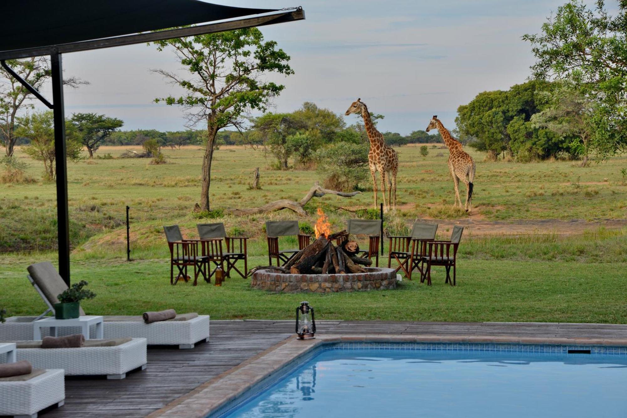 Villa Safari Plains Mabula Game Reserve Esterno foto